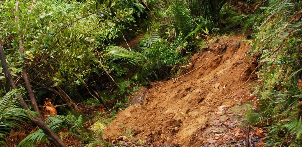 landslip in native bush