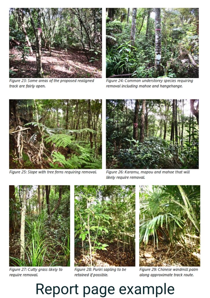 Ecological impact assessment